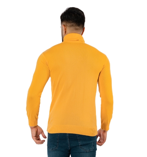 بافت مردانه ساده یقه اسکی Polo مدل 39003 - 1